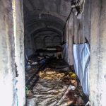 Тело военного руководителя ХАМАСА Синвара найдено в туннеле под больницей в Газе