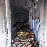 ХАМАС подтвердил гибель главы сектора Газа Мохаммеда Синвара