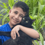 Смотрите: Познакомьтесь с 8-летним мальчиком из Газы, который спасает кошек, которым “некуда идти”.