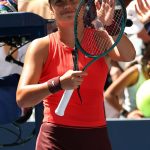 Радукану обыграл Тьена и вышел в третий круг US Open