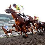 Чемпионату мира по конному спорту в Дубае исполняется 30 лет: как ОАЭ быстро становятся мировым центром конных скачек