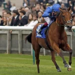 Магазин Godolphin’s Bin Suroor представляет сокровище Дубая, которое украсит витрину Newmarket