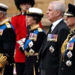 Бывший принц Эндрю лишится своего последнего воинского звания, заявил министр обороны Великобритании