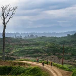 Землетрясение магнитудой 5,2 произошло на востоке Индонезии