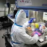 По данным Французского исследовательского центра, птичий грипп представляет более серьезную угрозу пандемии, чем Covid-19