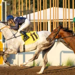 Аль-Байдхаи прорывается вперед, когда Маллен становится звездой, а Аль-Мейри берет командование на себя