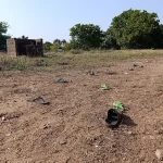 Нигерия: похищены 14 человек, в том числе невеста и 10 подружек невесты