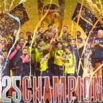 Дэвид ослепительно смотрит, как быки бьют жеребцов, чтобы выиграть титул чемпиона Абу-Даби T10