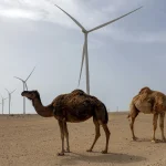 Совет Безопасности ООН поддержал план Марокко по созданию автономии Западной Сахары