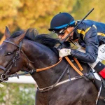 Спокойная уверенность Бин Гадайера была вознаграждена впечатляющим дублем на ипподроме Джебель Али